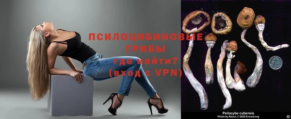 соль ск Алексеевка