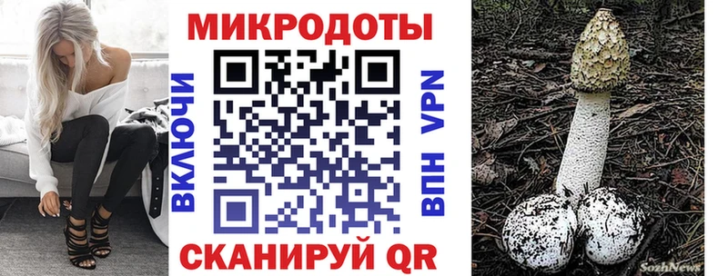 сколько стоит  Чусовой  Псилоцибиновые грибы Cubensis 