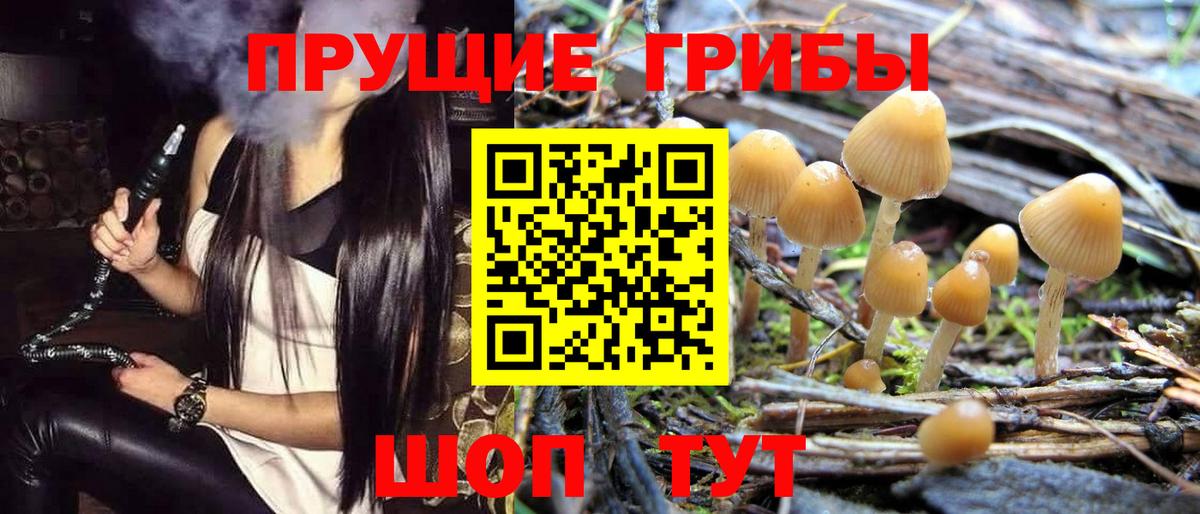 Галлюциногенные грибы мухоморы Чусовой