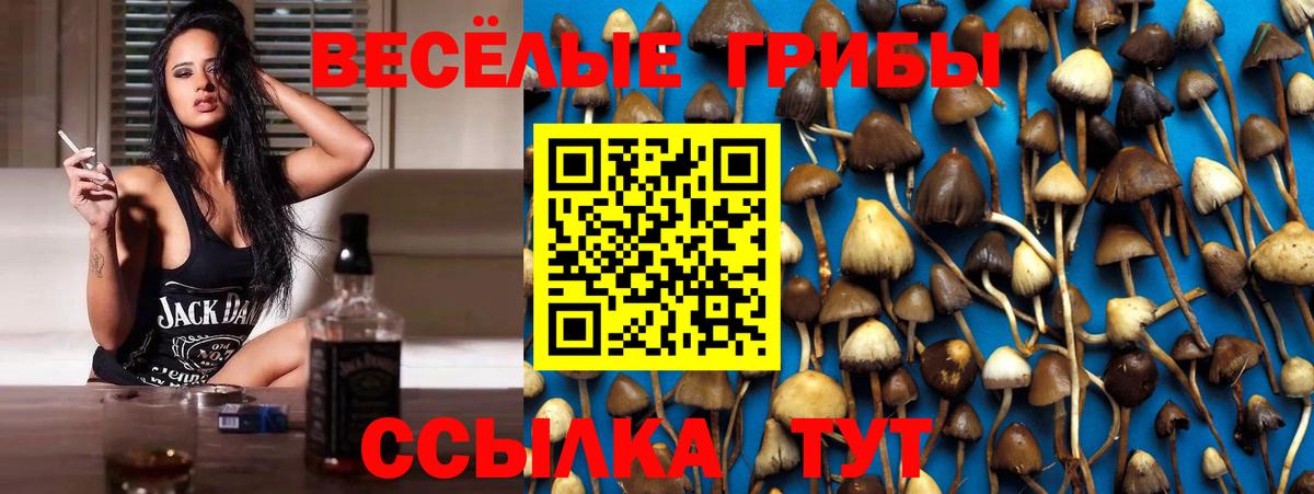 Чусовой  Галлюциногенные грибы Psilocybine cubensis  хочу   Галлюциногенные грибы ЛСД  Вход с VPN 