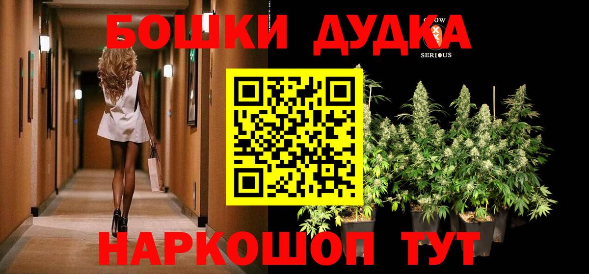 Бошки Шишки план Чусовой